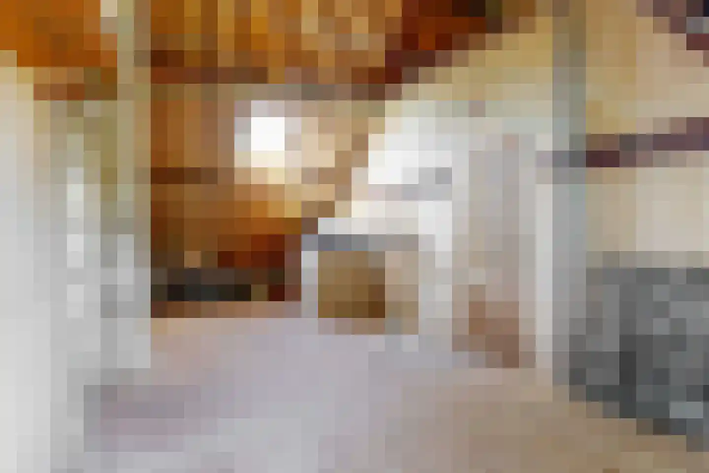 Lagewaard 28 Koudekerk aan den Rijn thumbnail 42