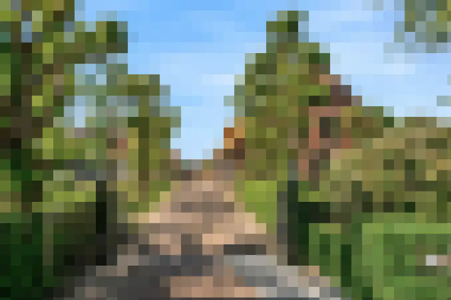 Lagewaard 28 Koudekerk aan den Rijn thumbnail 50