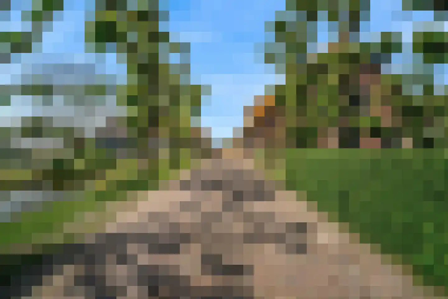 Lagewaard 28 Koudekerk aan den Rijn thumbnail 51