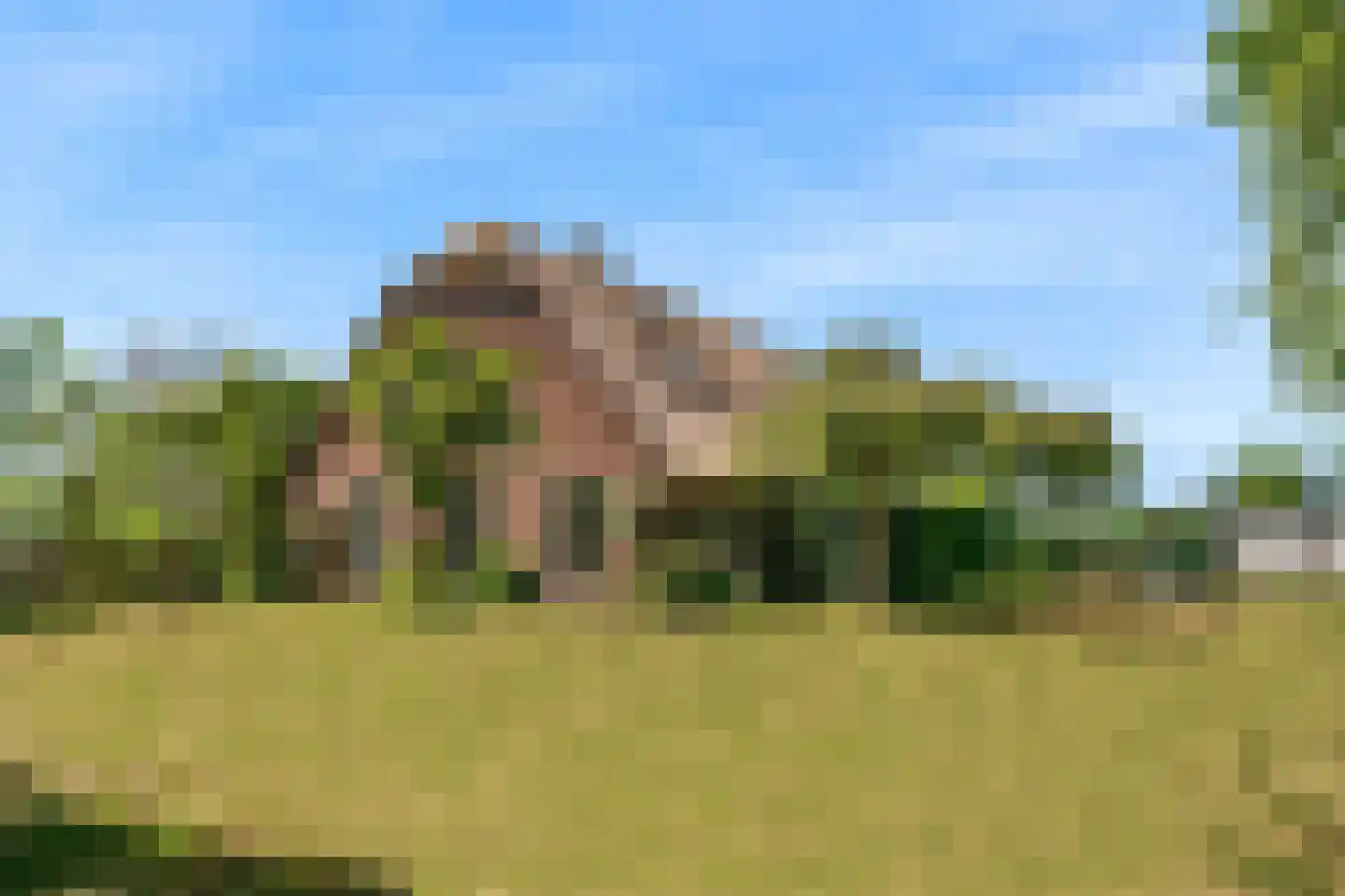Lagewaard 28 Koudekerk aan den Rijn thumbnail 58