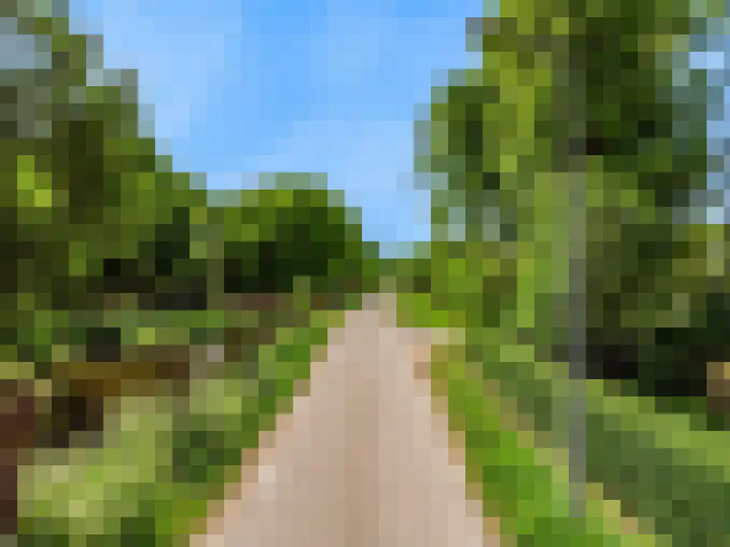 Lagewaard 28 Koudekerk aan den Rijn thumbnail 81