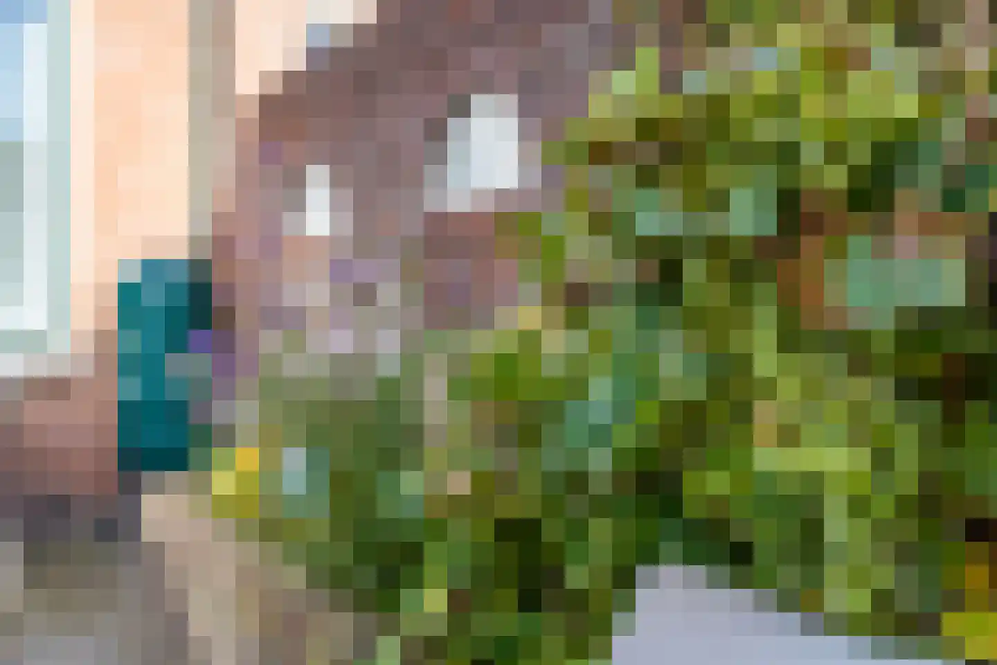 Lageweg 1 A Holten thumbnail 38