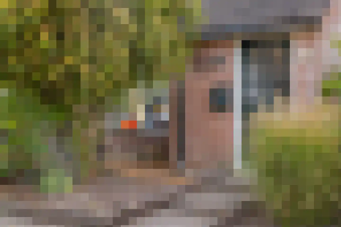 Lageweg 1 A Holten thumbnail 4