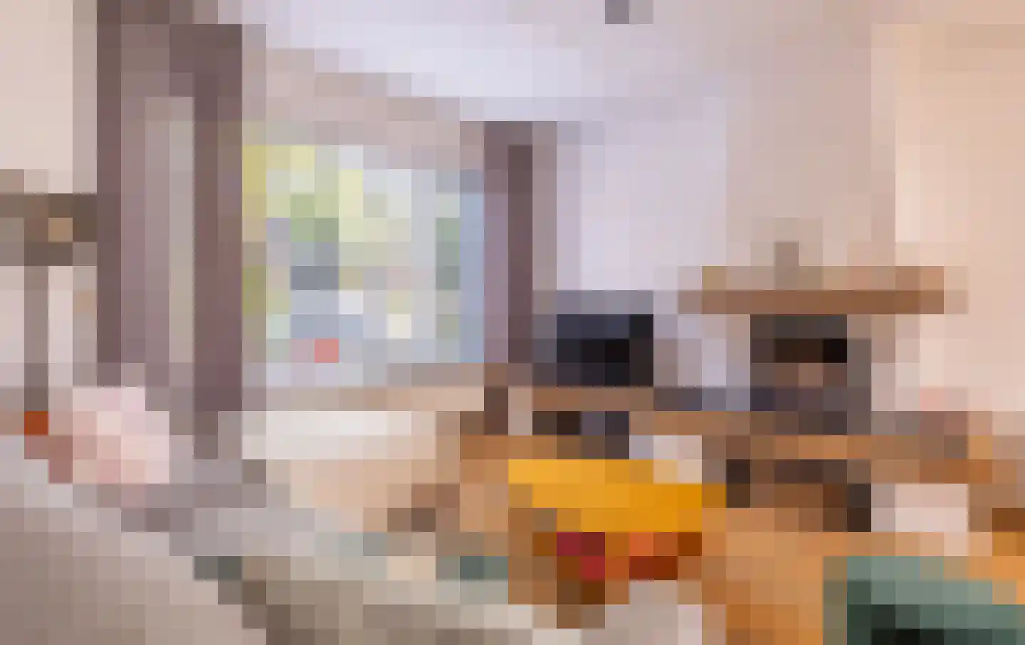Lageweg 1 A Holten thumbnail 8