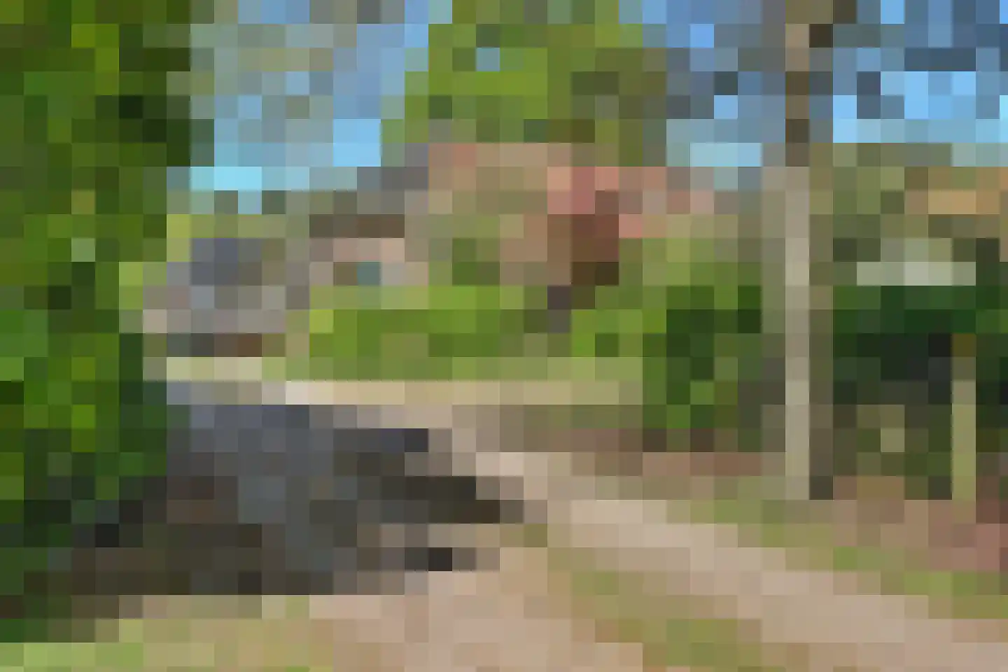 Lageweg 1 Lochem thumbnail 29
