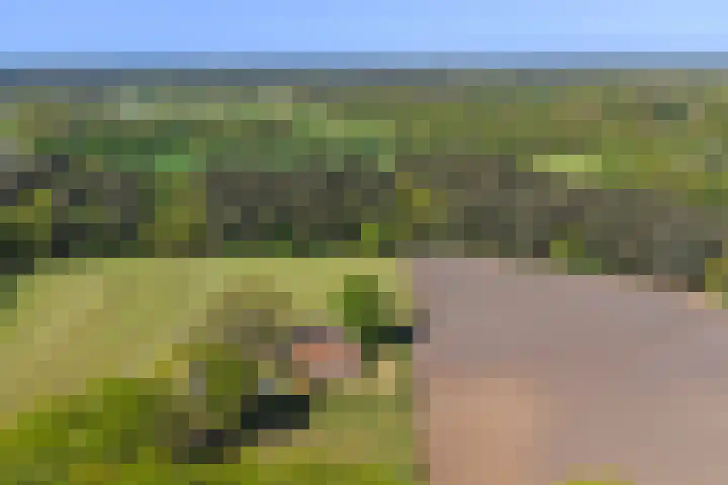Lageweg 1 Lochem thumbnail 34