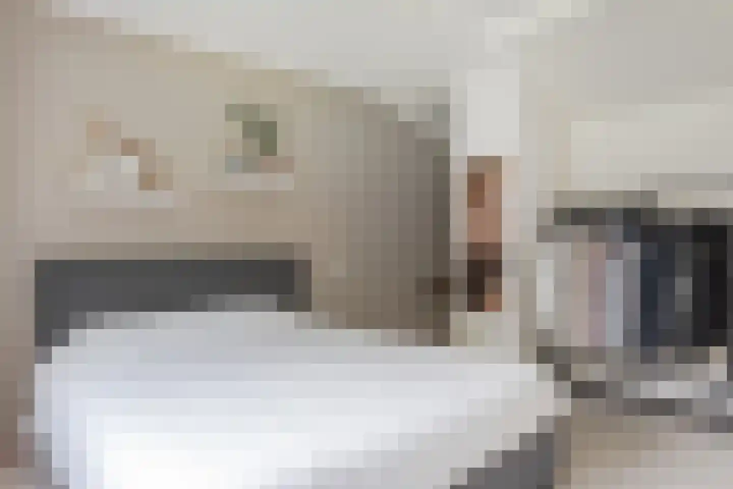 Lageweg 1 Schellinkhout thumbnail 16