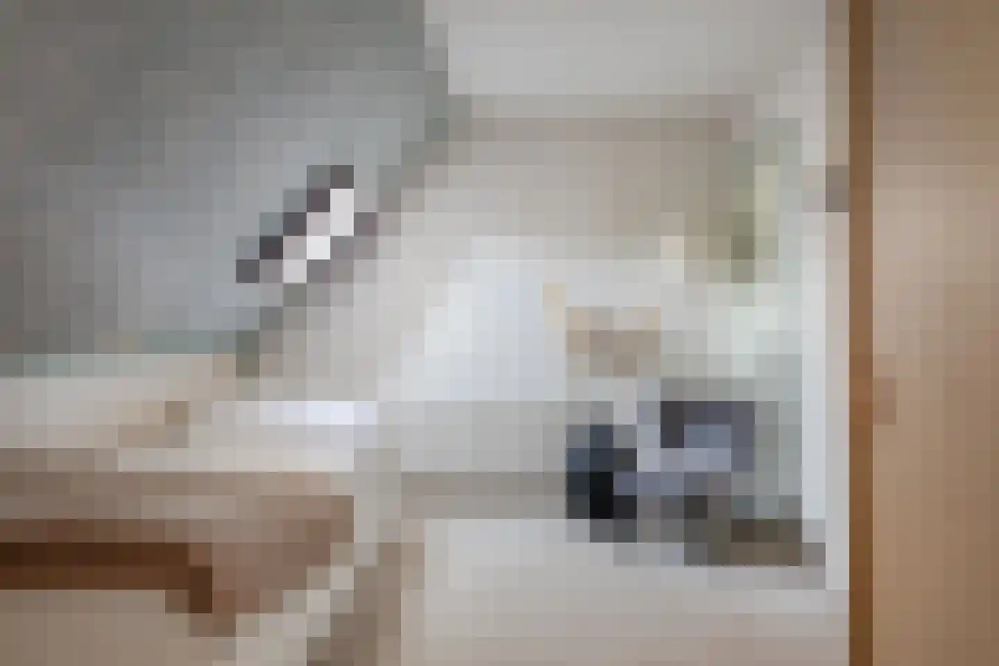 Lageweg 1 Schellinkhout thumbnail 26