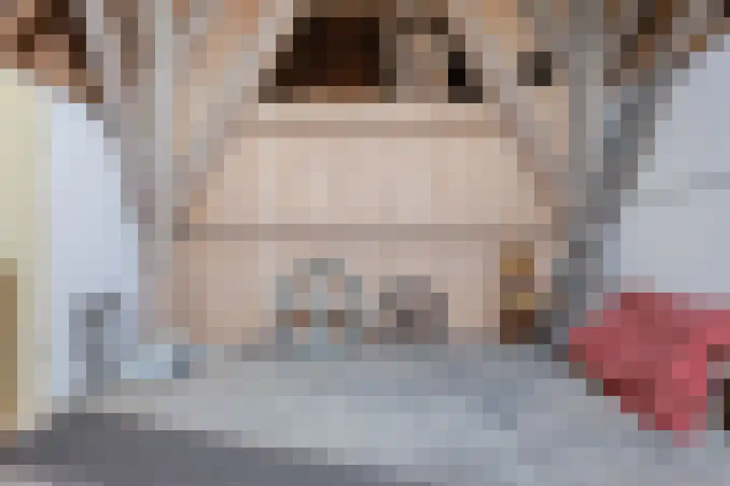 Lageweg 1 Schellinkhout thumbnail 27