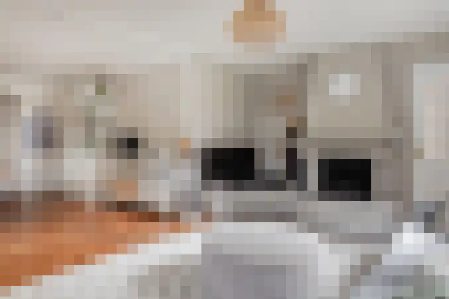 Lageweg 1 Schellinkhout thumbnail 5