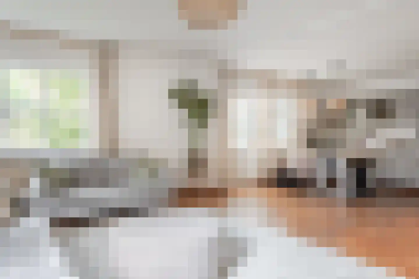 Lageweg 1 Schellinkhout thumbnail 7