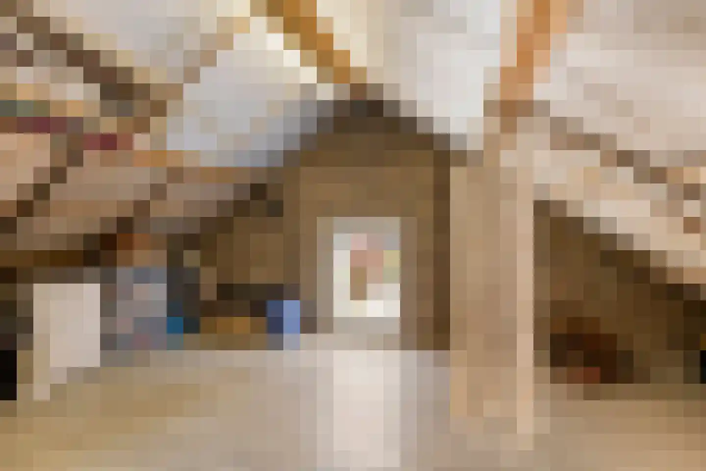 Lageweg 1 Terheijden thumbnail 22
