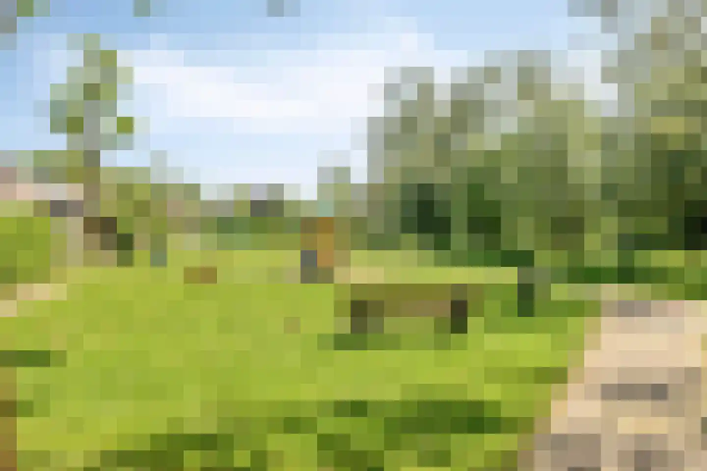 Lageweg 1 Terheijden thumbnail 38