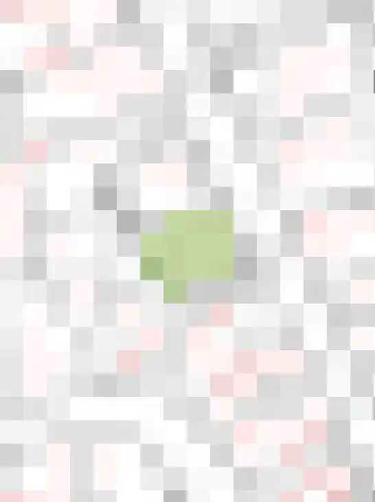 Lageweg 1 Terheijden thumbnail 47