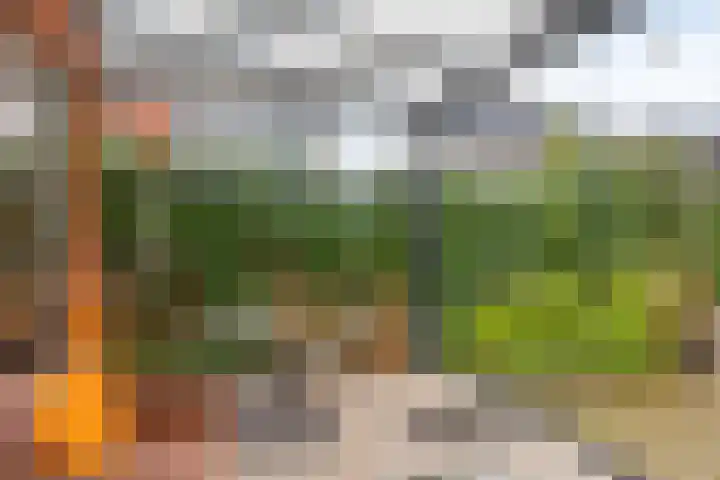 Lageweg 12 Holten thumbnail 28