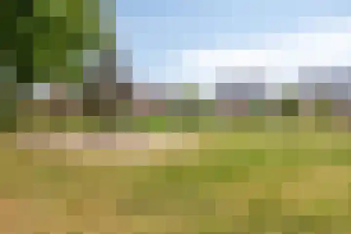 Lageweg 12 Holten thumbnail 32