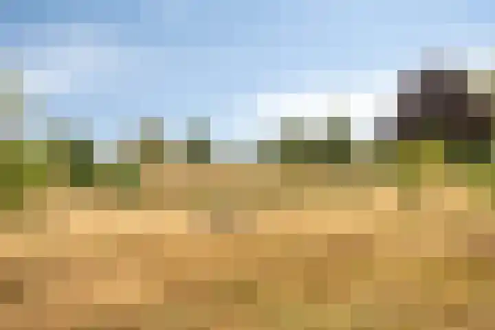 Lageweg 12 Holten thumbnail 34