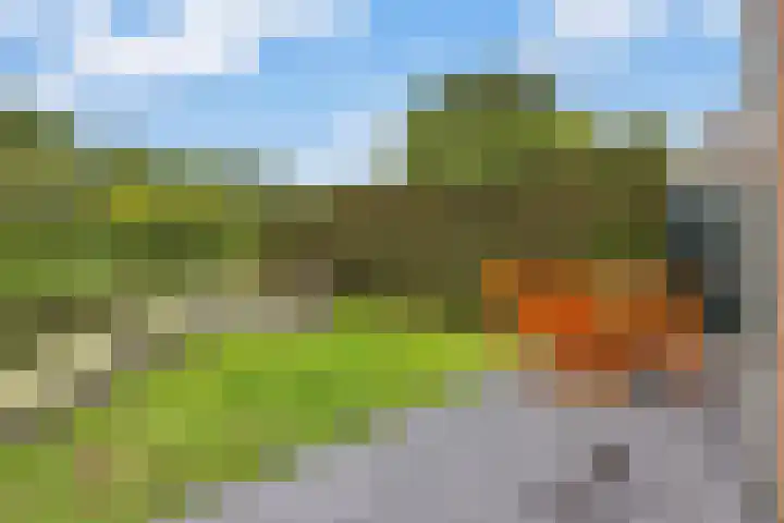 Lageweg 13 Blokker thumbnail 36