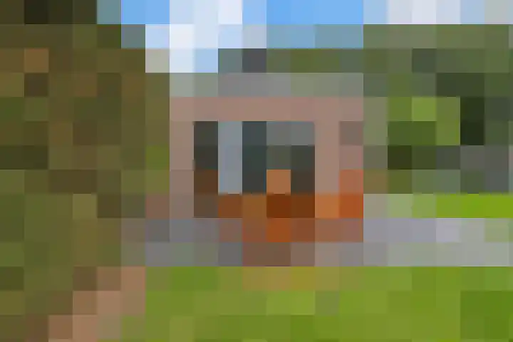 Lageweg 13 Blokker thumbnail 38