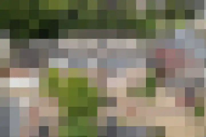 Lageweg 14 D Burgum thumbnail 12