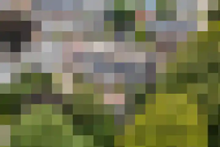 Lageweg 14 D Burgum thumbnail 4