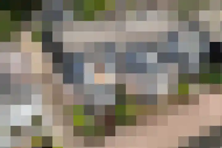 Lageweg 14 D Burgum thumbnail 6