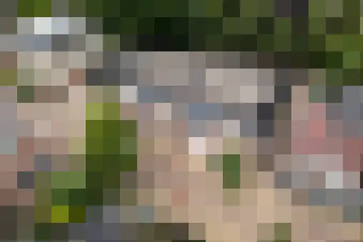 Lageweg 14 D Burgum thumbnail 7