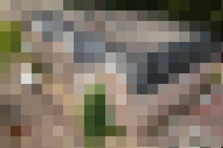 Lageweg 14 D Burgum thumbnail 9
