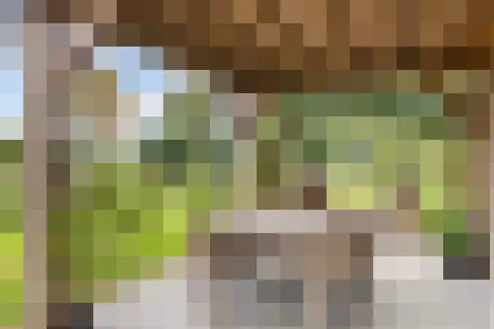Lageweg 14 Lochem thumbnail 10