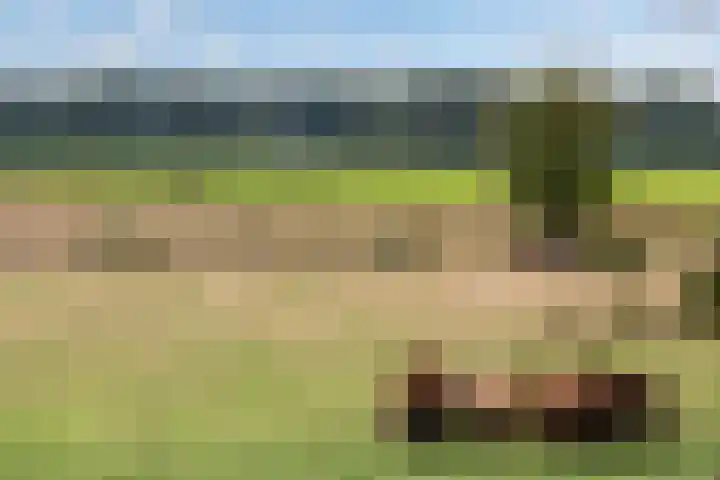 Lageweg 14 Lochem thumbnail 12