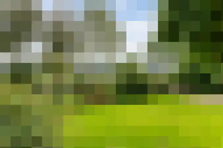 Lageweg 14 Lochem thumbnail 40