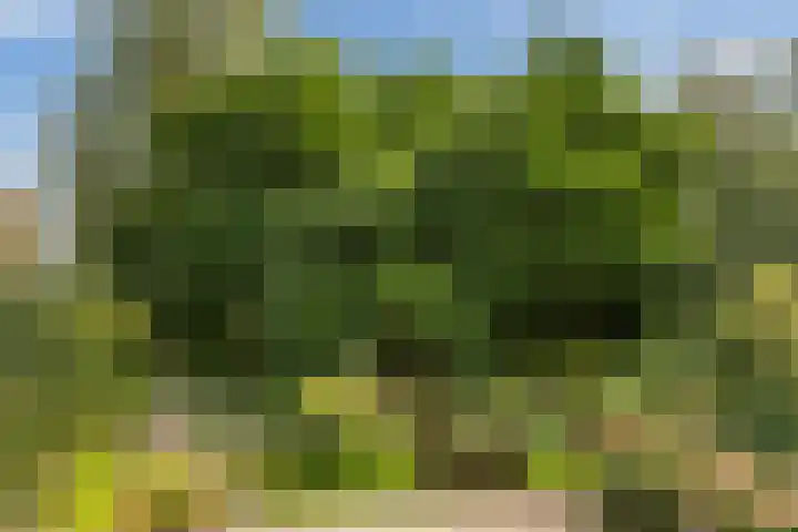 Lageweg 14 Lochem thumbnail 41