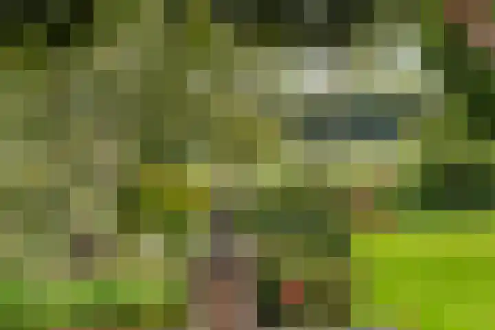 Lageweg 14 Lochem thumbnail 42