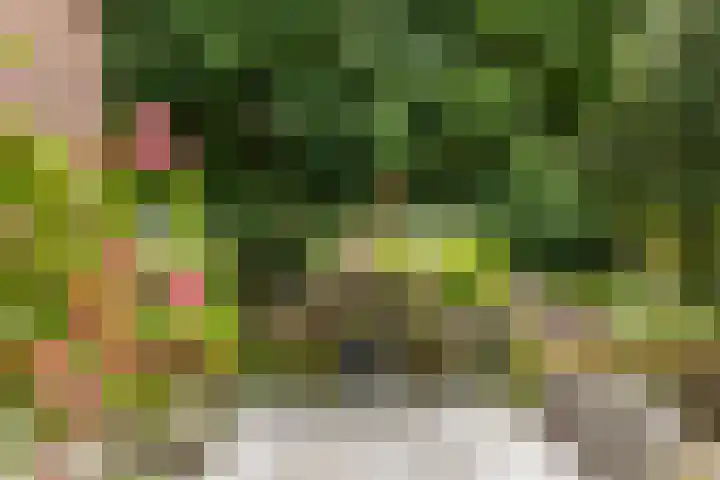 Lageweg 14 Lochem thumbnail 43