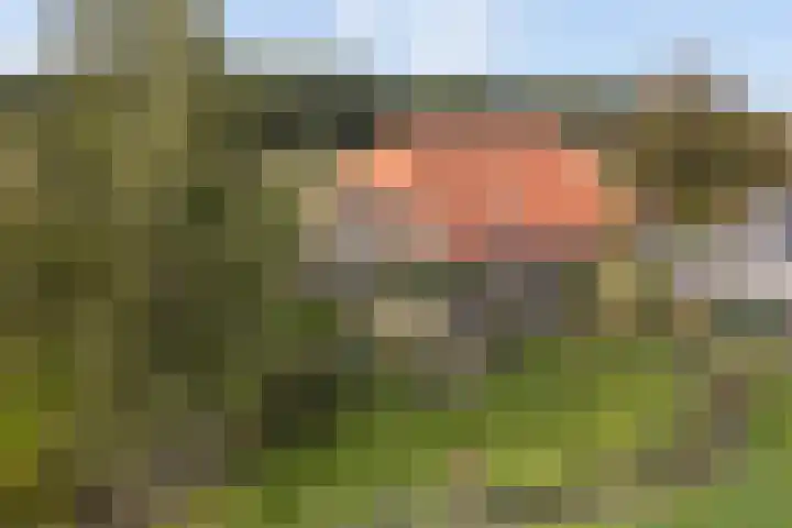 Lageweg 14 Lochem thumbnail 47