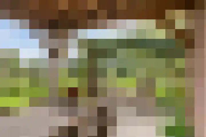 Lageweg 14 Lochem thumbnail 8