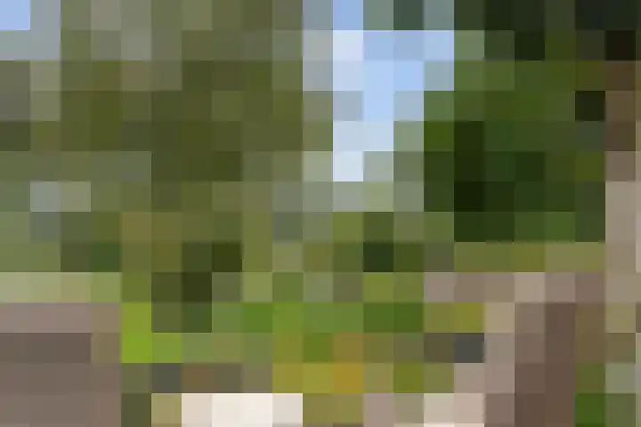 Lageweg 14 Lochem thumbnail 9