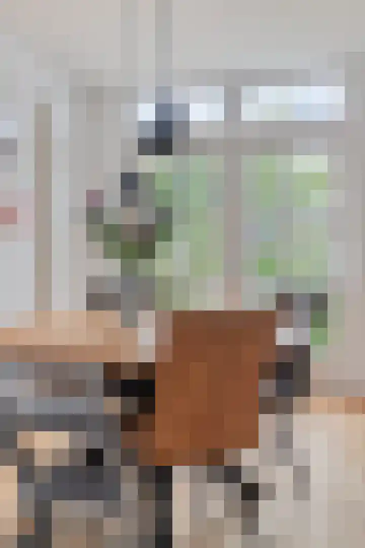 Lageweg 14 Terheijden thumbnail 14