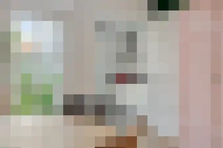 Lageweg 14 Terheijden thumbnail 15