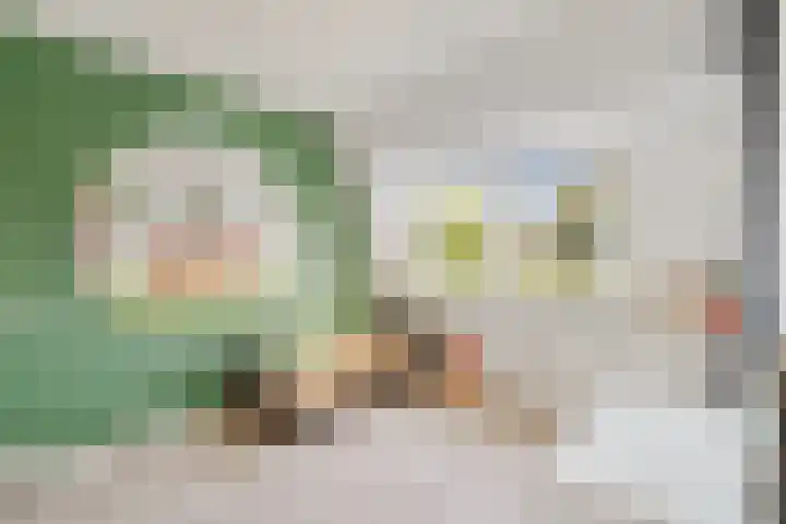 Lageweg 14 Terheijden thumbnail 26