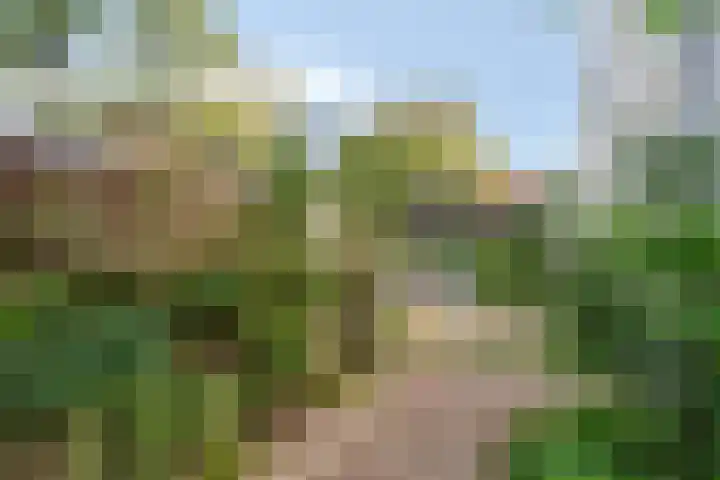 Lageweg 14 Terheijden thumbnail 30