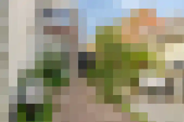Lageweg 14 Terheijden thumbnail 31