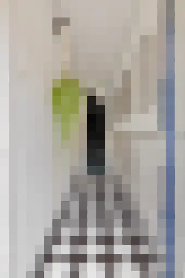 Lageweg 14 Terheijden thumbnail 9