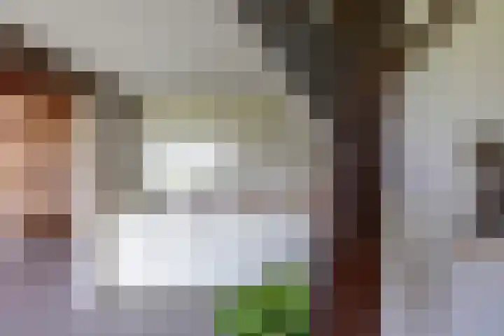 Lageweg 16 Zuidlaren thumbnail 17