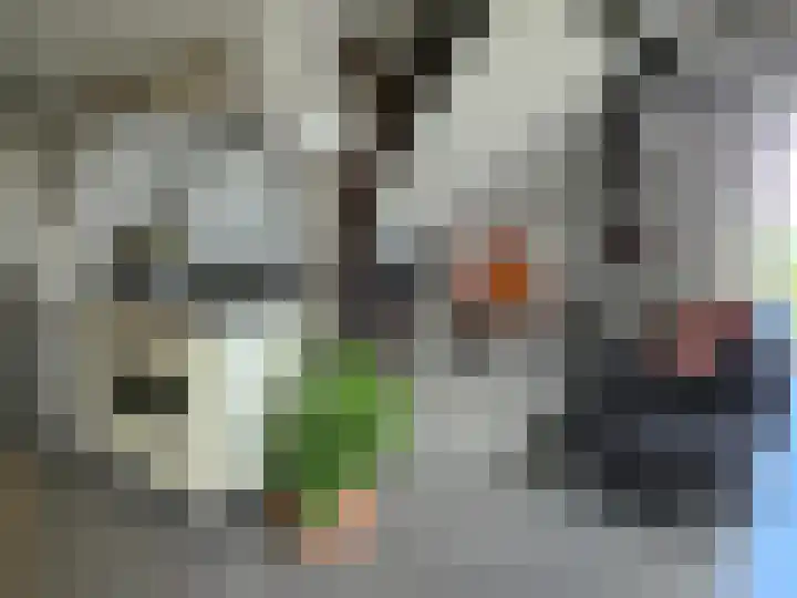 Lageweg 16 Zuidlaren thumbnail 21