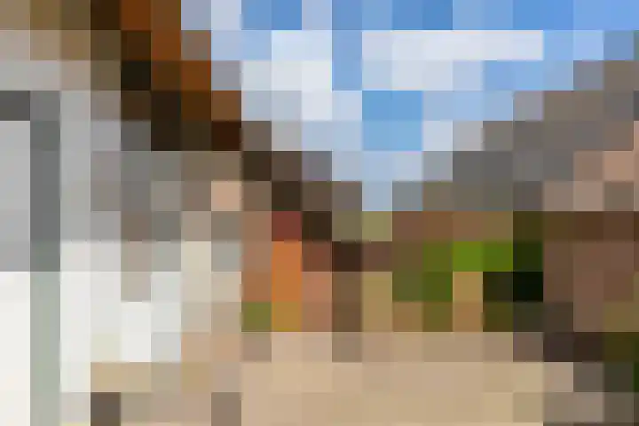 Lageweg 16 Zuidlaren thumbnail 34