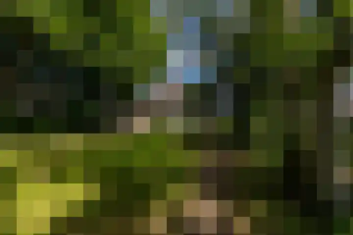Lageweg 16 Zuidlaren thumbnail 36