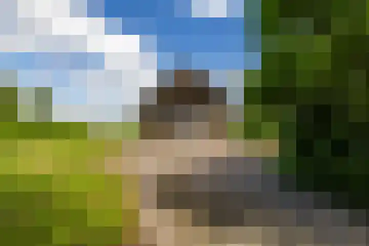 Lageweg 16 Zuidlaren thumbnail 37