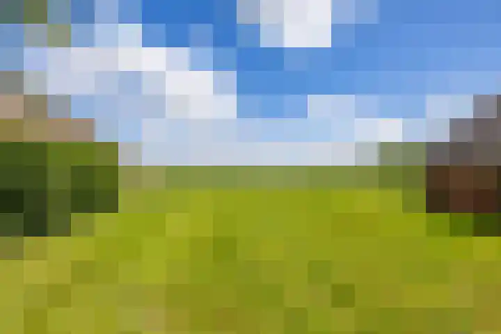 Lageweg 16 Zuidlaren thumbnail 38
