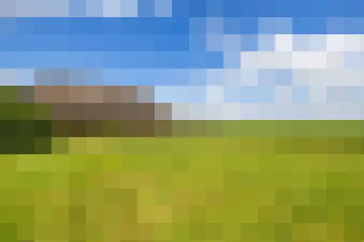 Lageweg 16 Zuidlaren thumbnail 39